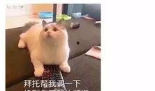 抖音吃瓜群众最新视频大全,揭秘热门视频背后的精彩故事