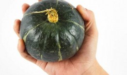 小瓜怎么吃不烂嘴呢视频