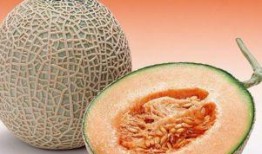 哈密瓜咋熬粥吃的视频,夏日清凉养生新食法