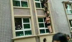 临平职校打架视频吃瓜,校园暴力背后的真相与反思