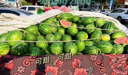 吃瓜视频郑州,揭秘城市生活百态