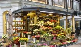 唐山花店吃瓜视频在哪看,揭秘网络热传事件幕后真相