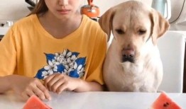 近期热门吃瓜国外视频,揭秘近期热门“吃瓜”视频背后的故事