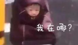 下雨吃瓜搞笑视频,一场搞笑视频的“湿身”盛宴