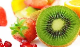 狐狸吃蜜瓜的视频大全集,趣味视频大全集回顾