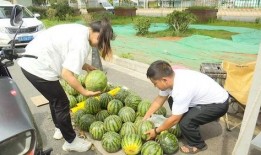 2025年第二大吃瓜视频,揭秘幕后真相与网友热议