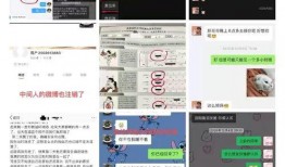 全程吃瓜现场直播视频,揭秘吃瓜现场幕后真相