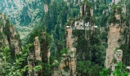 张家界吃瓜视频哪里看的,热门景点背后的趣味瞬间