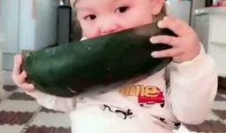 小孩的吃瓜视频,小萌娃吃瓜视频萌翻网友