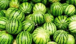 乌鲁木齐方仓吃瓜视频,真实记录方仓内的“吃瓜”日常