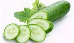 瓜柳种子可以吃吗视频,揭秘可食用之谜