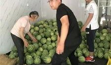 常州湖塘吃瓜事件真相视频,还原事件始末