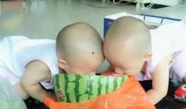 吃瓜 双胞胎 姐妹视频,趣味互动，姐妹情深