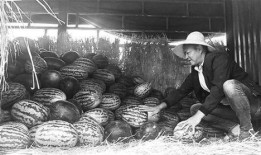 弋阳吃瓜群众事件视频