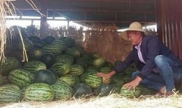 吃瓜群众哭了视频,吃瓜群众哭诉心酸瞬间