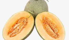 熊猫雅吉吃哈密瓜视频,哈密瓜美食之旅