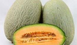 丑女吃哈密瓜视频,美味与自信并存