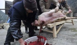 缅甸杀猪盘吃瓜视频,一场精心策划的网络骗局