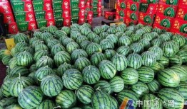 宁波奉化吃瓜事件视频,一场引发热议的街头冲突纪实