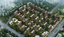 东方国际城吃瓜事件视频,一场网络热议的真相揭秘