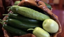 锦华吃瓜最新视频,揭秘娱乐圈最新热点事件