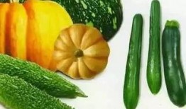 摘杏吃瓜的视频