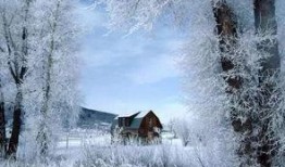 雪景拍摄吃瓜视频,趣味横生的冬日雪景短视频