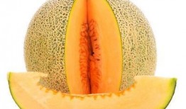 哈密瓜老爸推荐吃吗视频,揭秘美味哈密瓜的吃法与营养