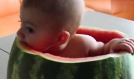 小孩的吃瓜视频,小萌娃吃瓜视频萌翻网友