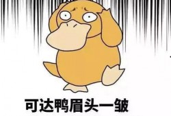 阿呆和阿瓜玩吃鸡视频