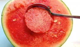 云南人吃折箩瓜视频播放,折箩瓜的独特魅力，视频播放引网友热议