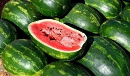 夏季吃瓜视频图片高清,高清吃瓜瞬间，解锁夏日休闲新姿势